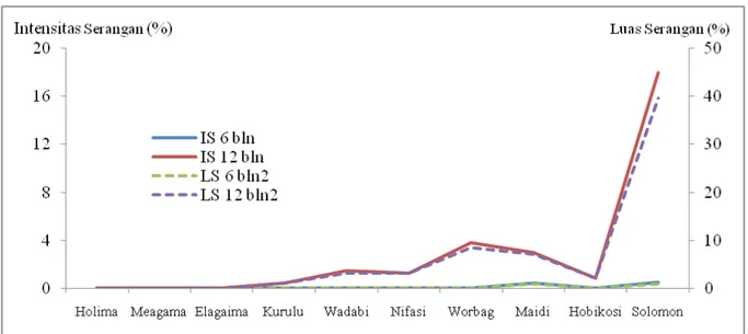 Gambar 1.  Rerata luas serangan (LS dalam %)  dan intensitas serangan (IS dalam %)  penyakit karat  tumor pada uji keturunan sengon umur 6 dan 12 bulan di Bondowoso, Jawa Timur