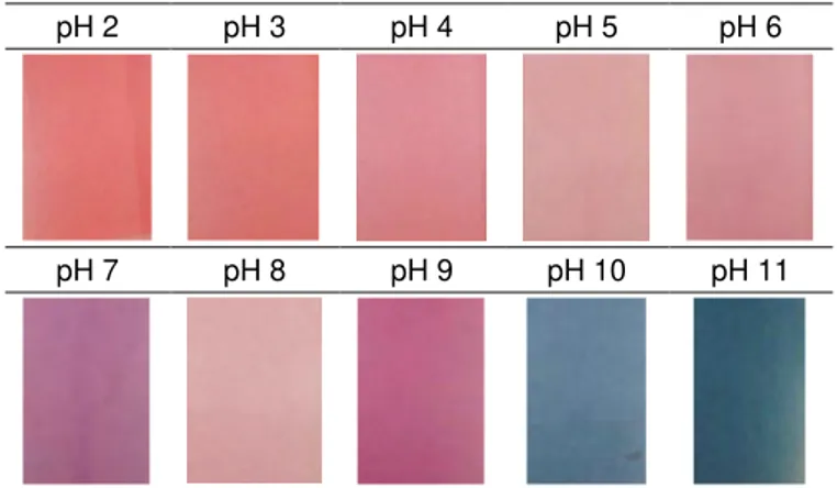 Gambar 1. Perubahan warna ekstrak ubi ungu terhadap pH