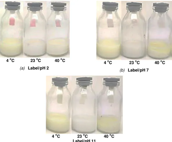 Gambar  7  menunjukkan  peta  perubahan  warna label ketika mendeteksi susu pada kondisi  temperatur penyimpanan 4  o C, 23  o C dan 40  o C  setelah waktu 48 jam