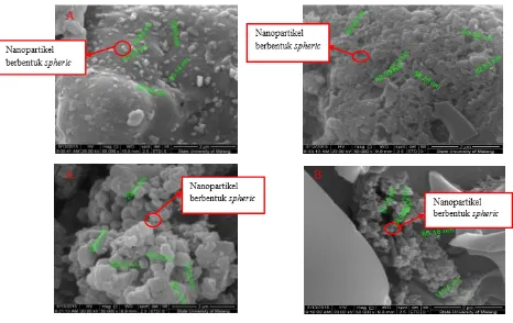 Gambar 1. Hasil SEM Nanopartikel Ekstrak Biji Nigella sativa1 (A) dan  BatchBatch 2 (B) 