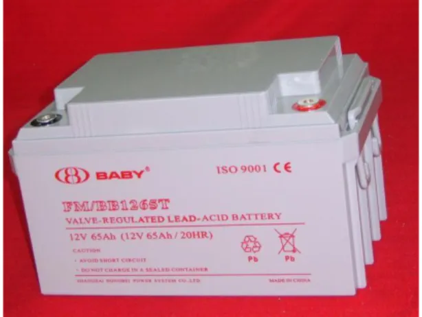 Gambar 2.9. Baterai VRLA  b. Gel Cell 