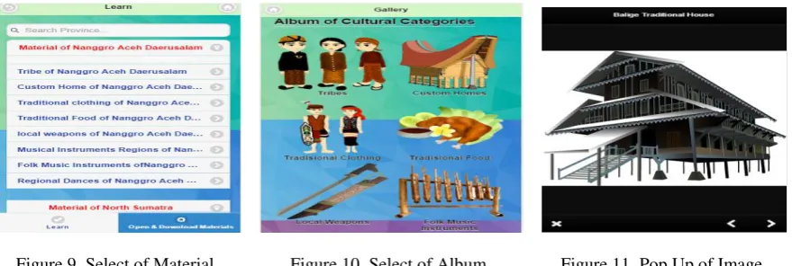 Figure 11. Pop Up of Image 