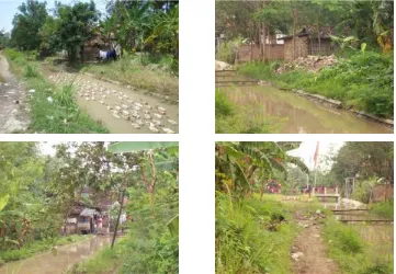 Gambar 4 : Kondisi lingkungan di sepanjang saluran irigasi pada beberapa  Sumber : Pemetaan Swadaya Kelurahan Kebondalem (2008) 
