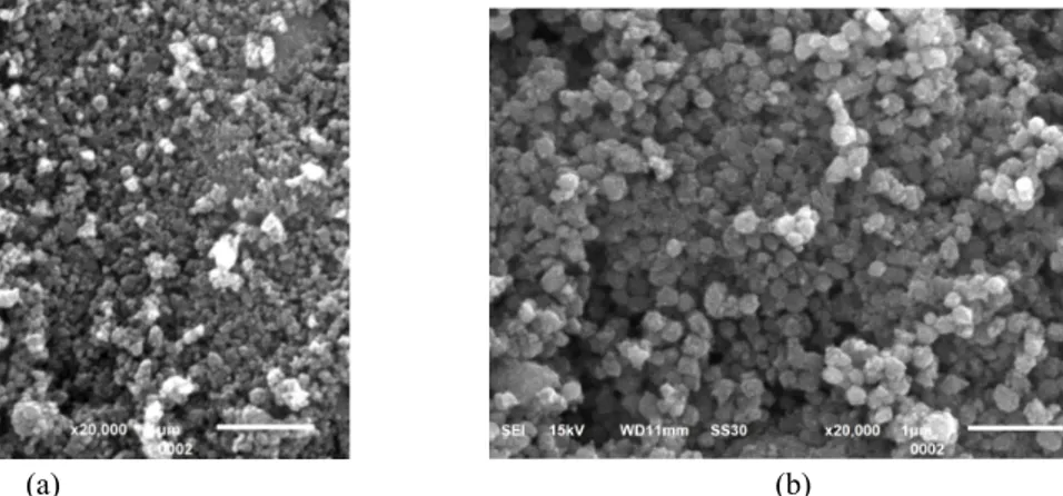 Gambar 1. Morfologi TiO 2 nanopartikel tanpa penambahan templat kanji konsentrasi (a) 0,3 M , (b) 0,5M dan (c) 1,0 M pada temperatur 500 o C