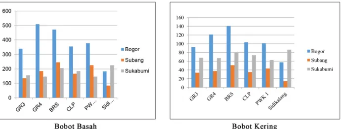 Gambar 1. Histogram bobot basah dan kering lima aksesi nilam di tiga agroekologi 