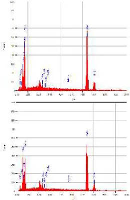 Gambar  8. Spektrum EDX dari  permukaan spesimen  baja  lunak  (atas) tanpa dan dengan KMK (bawah)