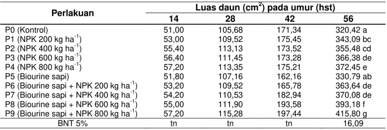 Tabel 5 Rerata luas daun tanaman selada pada berbagai perlakuan 