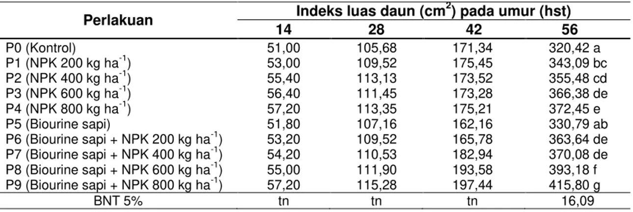 Tabel 6 Rerata indeks luas daun tanaman selada pada berbagai perlakuan 