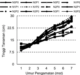 Gambar 1.  Grafik rata-rata tinggi tanaman  bangun-bangun (cm) per tanaman akibat  perlakuan naungan dan dosis pupuk urea 