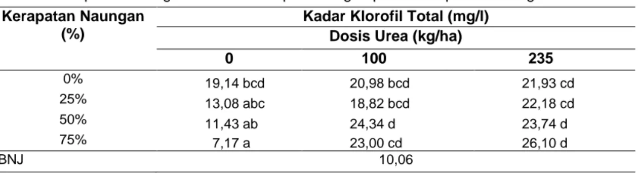 Tabel  4.  Rerata  Kandungan  Klorofil  Total  Umur  Tanaman  Bangun-bangun  Akibat  Perlakuan  Kerapatan Naungan dan Dosis Pupuk Nitrogen pada Setiap Umur Pengamatan   Kerapatan Naungan 