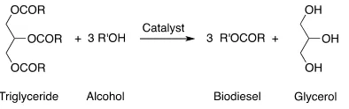Figure 1. Transesterification of palm oils (R: C16, C18 of aliphatic carbon chain and R’: Ethyl or Methyl group) 