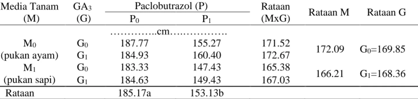 Tabel  1.  Pertambahan  tinggi  jambu  air  Deli  Hijau  25  MSP  dengan  perlakuan  media  tanam,  paclobutrazol dan GA 3 Media Tanam  (M)  GA 3  (G)  Paclobutrazol (P)  Rataan (MxG)  Rataan M  Rataan G  P 0 P 1 …………..cm….…………