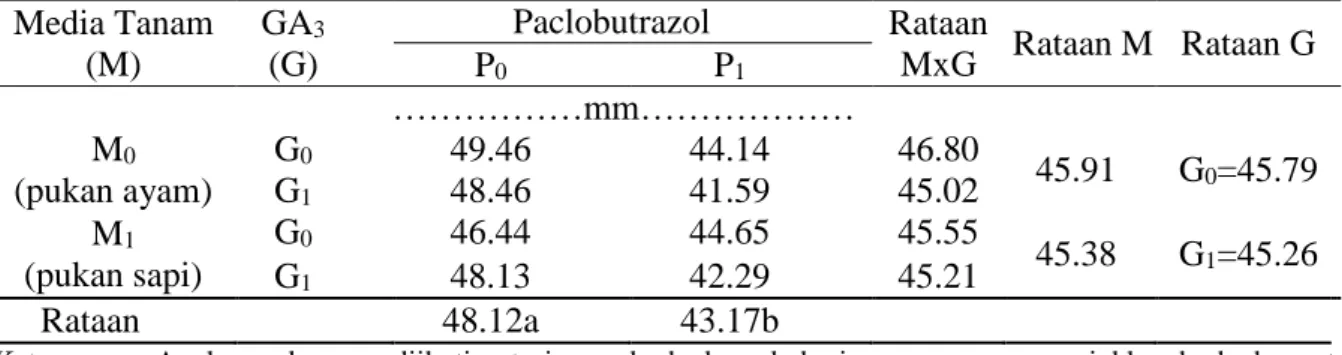 Tabel 3 .Luas daun jambu air Deli Hijau dengan perlakuan media tanam, paclobutrazol dan GA3  Media Tanam  (M)  GA 3 (G)  Paclobutrazol (P)  Rataan MxG  Rataan M  Rataan G  P 0 P 1       ….………..cm 2  ……….