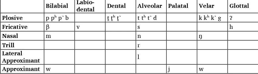 Table 13. Avau consonant phones 