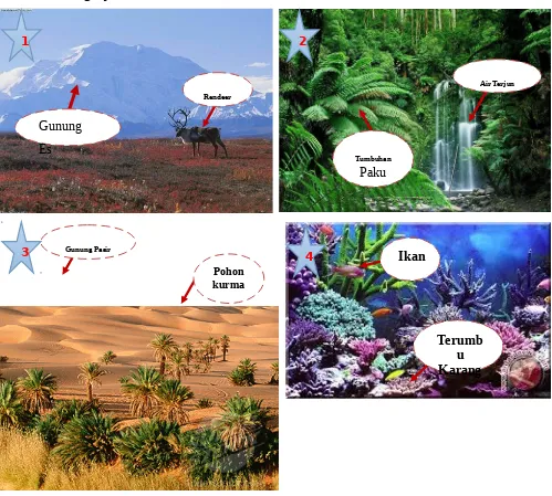 Gambar Komponen Ekosistem di berbagai ekosistem