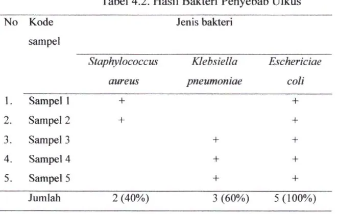 Tabel 4.2. Hasil Bakteri Penyebab Ulkus 