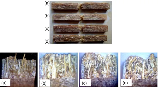 Gambar  7. Foto  kegagalan  spesimen  uji  impak  komposit  serat  bambu polyester untuk fraksi volume sekam padi (a) 0%, (b) 10%, (c) 20% and (30%)