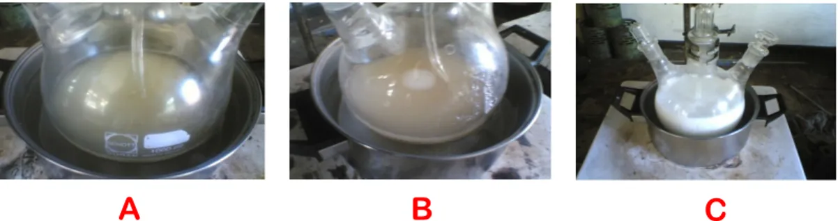 Gambar 2. Indikator reaksi transfer hidrogenasi minyak jarak kastor, (A) minyak jarak kastor sebelum  reaksi-berwarna kuning, (B) awal penetesan hidrogen peroksida-berwarna jingga, (C) akhir penetesan  hidrogen peroksida-berwarna putih.