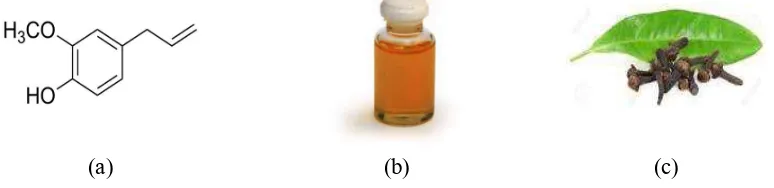 Figure I.1. Chemical structure of eugenol (a) clove oil (b), clove leaf and flower (c)