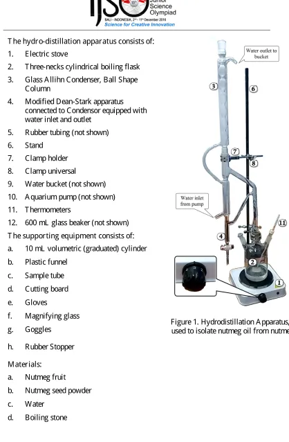 Figure 1. Hydrodistillation Apparatus, will be used to isolate nutmeg oil from nutmeg seeds 