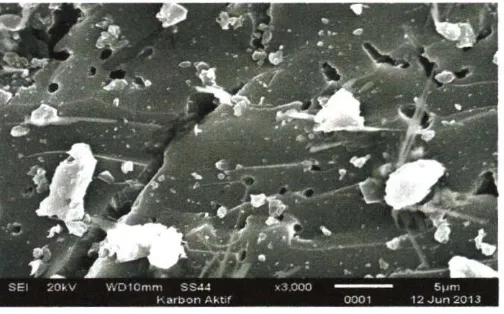 Gambar 3. SEM Karbon Aktif dari Tempurung Kelapa pada perbesaran 3000 X 