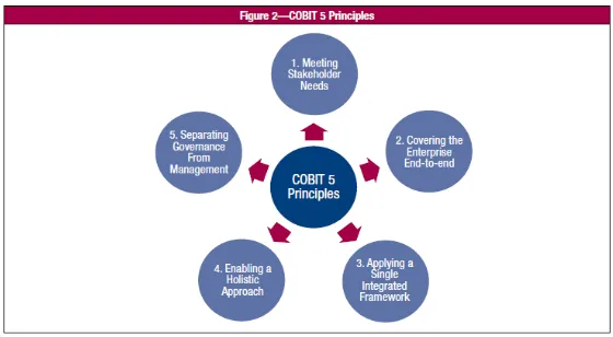Figure 1. COBIT 5 Principles 