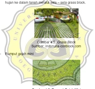 Gambar 4.6: Rumput Gajah Mini Sumber: www.tamantropis.com 