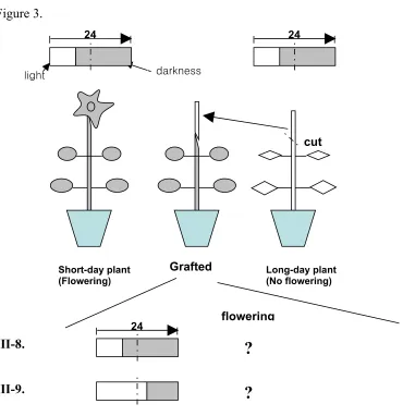 Figure 3.24 