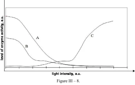Figure III – 8.