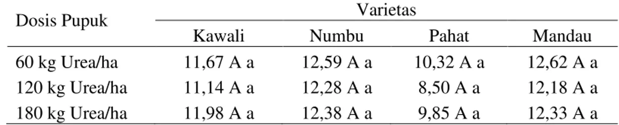 Tabel  5.  Rata-rata  uji  kecepatan  kecambah  varietas  sorgum  dengan  pemberian  pupuk Urea
