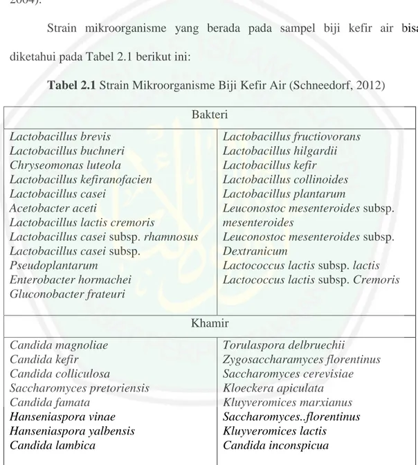 Tabel 2.1 Strain Mikroorganisme Biji Kefir Air (Schneedorf, 2012)  Bakteri  Lactobacillus brevis  Lactobacillus buchneri  Chryseomonas luteola  Lactobacillus kefiranofacien  Lactobacillus casei   Acetobacter aceti 