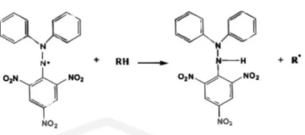 Gambar  2.5  Reduksi  DPPH  dengan  senyawa  peredam  radikal  bebas  (Molyneux, 2004)