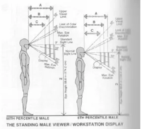 Gambar 2.8. Jarak pandan dan sudut pandang laki-laki  (https://www.scribd.com/doc/87589803) 