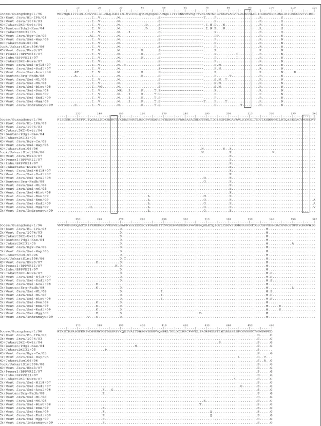 Gambar 2. Multiple alignment protein NA virus AI subtipe H5N1 tahun 2003-2009 