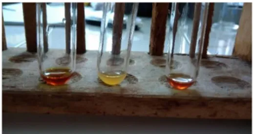 Gambar 1. Hasil reaksi warna infusa dengan  H 2 SO 4  (kiri),  larutan  sampel  infusa  rambut  jagung (tengah) dan hasil reaksi warna infusa  dengan NaOH (kanan) 