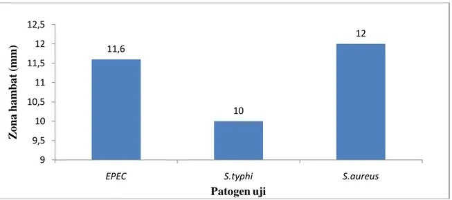 Gambar 2. Uji aktivitas antimikroba Staphylococcus hominis K1A terhadap patogen 