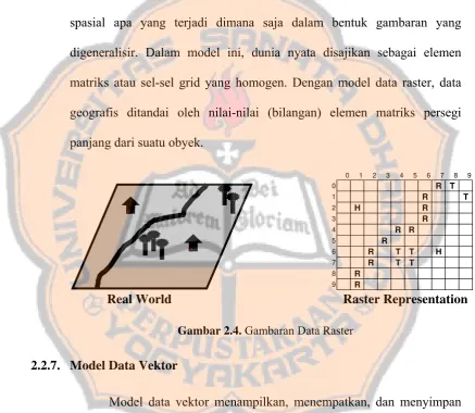Gambar 2.4. Gambaran Data Raster 
