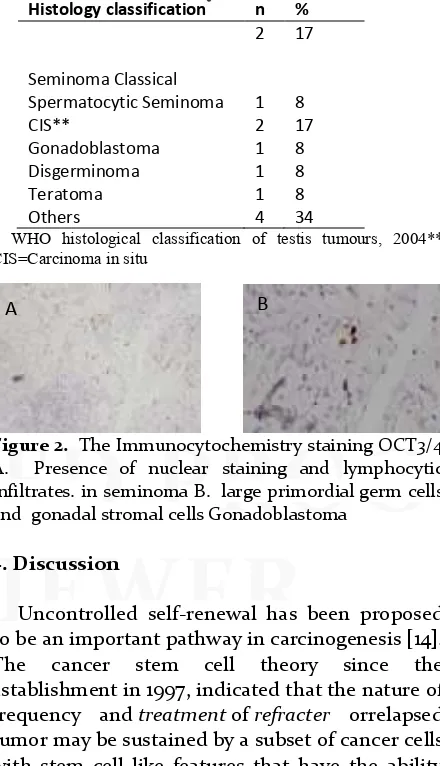 Table 2. Identified malignancies of TGC using OCT3/4 staining 