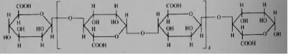 Gambar 2.4 Rumus bangun struktur asam alginat