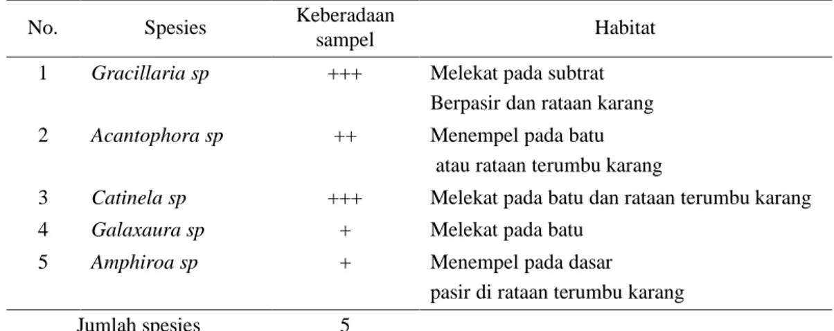 Tabel 1. Jenis makroalga yang ditemukan di perairan Pantai Arubara 