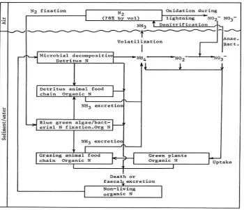 Figure 1. Nitrogen cycle in ponds (Source: FAO). 