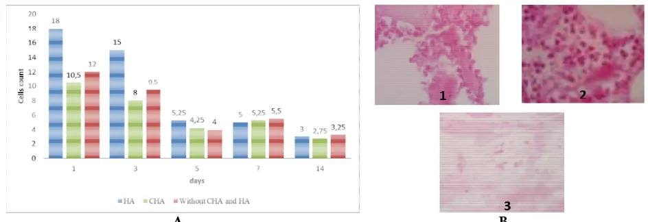 Figure 1. A) Average number of neutrophil ceneutrophil cell on implantation of CHA (1), HAil cell on rabbit mandible based on implantation time, B), HA (2), and without CHA and HA (3)