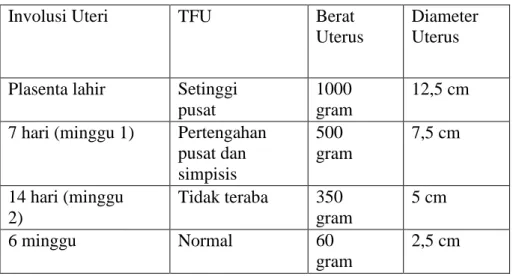 Tabel 2.2. Perubahan-perubahan normal pada uterus selama postpartum 