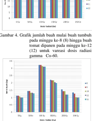 Gambar 5. Grafik berat buah tomat pada masing- masing-masing  dosis  radiasi  gamma  Co-60  mulai  minggu ke-8 (8) hingga  minggu  ke-12 (12)