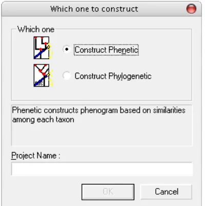 Figure 3. Construction options dialog box  