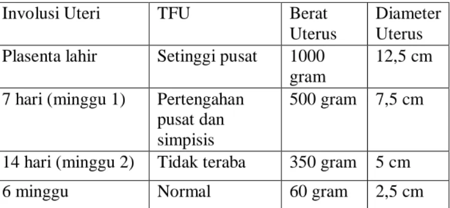 Tabel 2.8 Perubahan-Perubahan Normal Pada Uterus  Selama Post Partum 