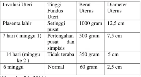 Tabel 2.9 Tinggi Fundus Uteri Pada Ibu Nifas   Involusi Uteri  Tinggi 