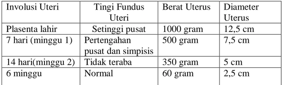 Tabel 2.7 Perubahan Normal pada Uterus Selama Post Partum  Involusi Uteri  Tingi Fundus 