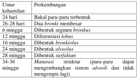 Tabel 2.8  Perkembangan Sistem Pulmoner  Umur 