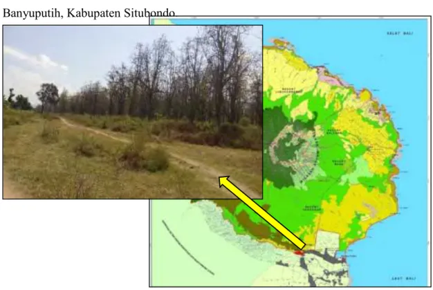 Gambar 3.1 Lokasi rencana Pembangunan Smelter Nikel di Sekitar Taman Nasional Baluran 